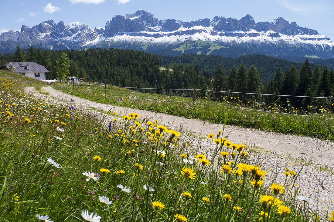 Rosengarten 01.jpg